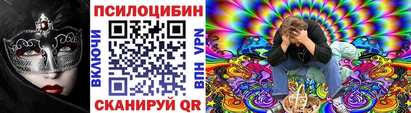 OMG   купить закладку  Поворино  это наркотические препараты  Галлюциногенные грибы мицелий 