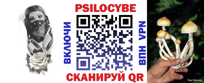 Псилоцибиновые грибы Magic Shrooms Поворино